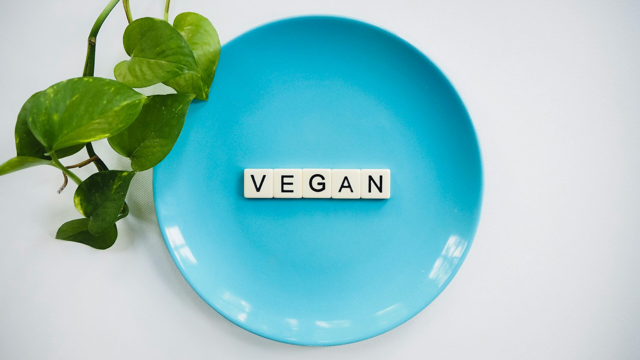 Vegan Protein Sources: The Ultimate Guide to Plant-Based Protein and Meat Alternatives